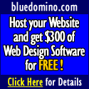 Bluedomino Webhosting